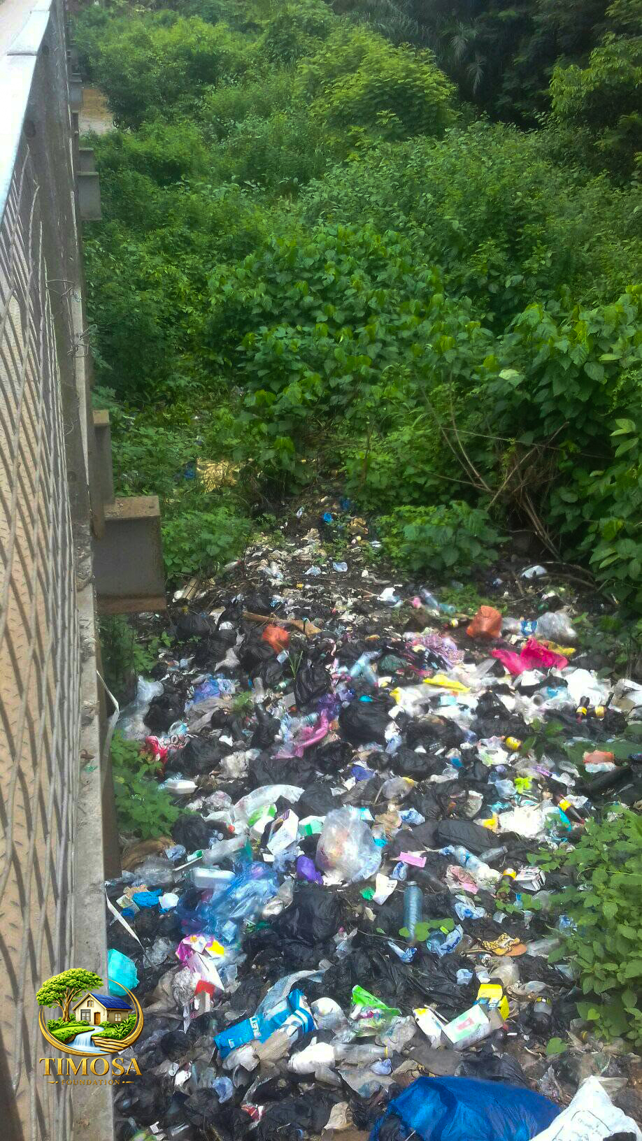 Environmental Health