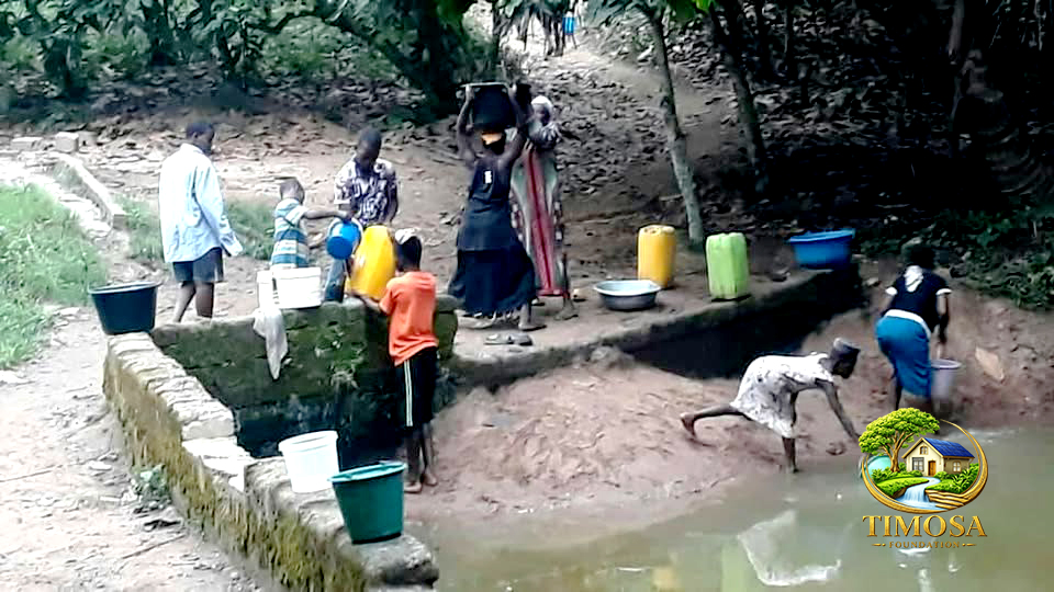 Environmental Conservation