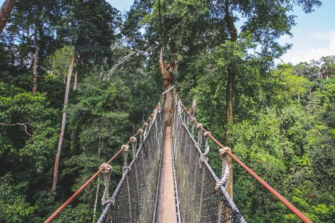 Bunso Eco Park